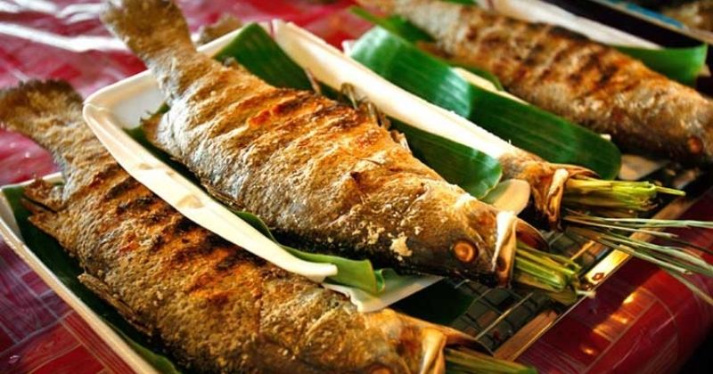 Cá suối nướng Sapa trên bếp than