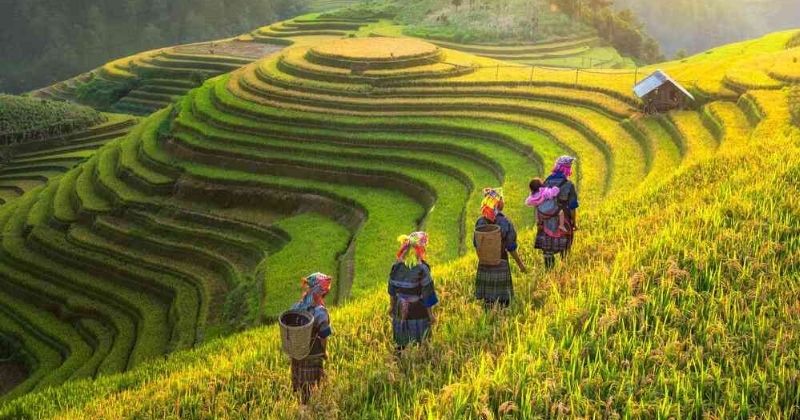 Các khoản chi phí cần dự toán khi du lịch Sapa tự túc