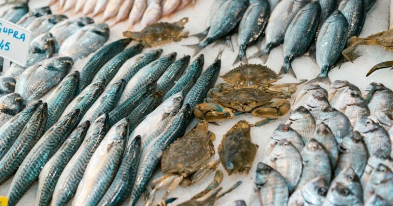 Nhân viên cân cá tại bể hoặc ảnh cá tươi trước khi chế biến