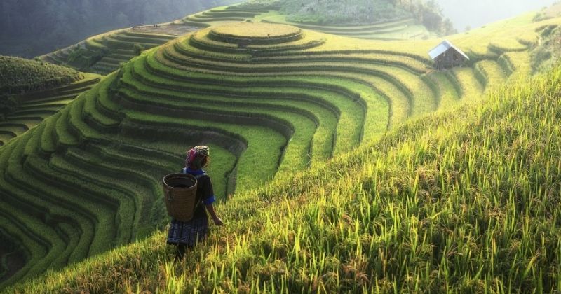 Đặc Sản Sapa giúp người đọc khám phá món ngon, du lịch và văn hóa vùng cao