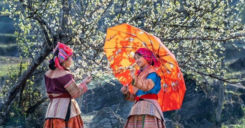 Người Mông đen trong bộ trang phục truyền thống giữa núi rừng Sa Pa