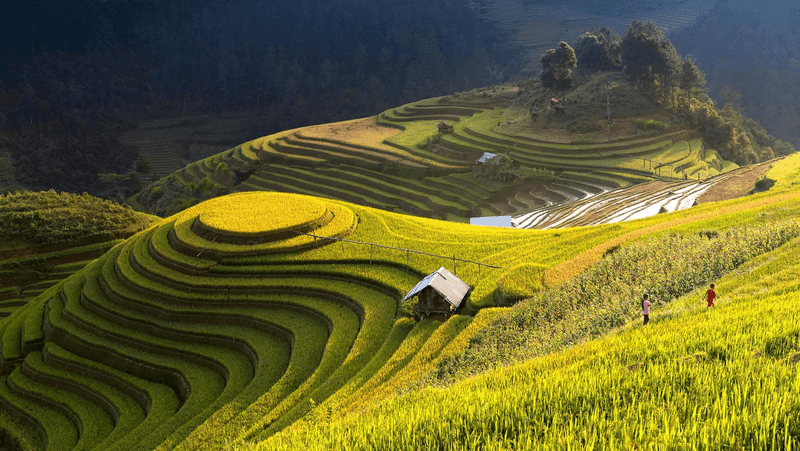 Địa đỉ du lịch Sapa: Nậm Cang