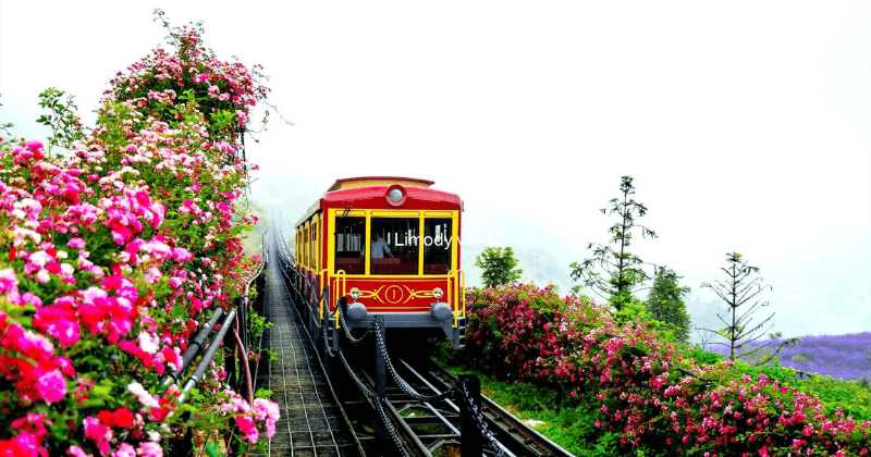 Kinh nghiệm du lịch Sapa bằng tàu hỏa