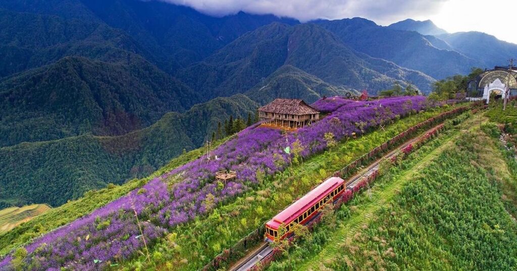 Thung lũng Mường Hoa dài 8 km với ruộng bậc thang và bãi đá cổ, điểm tham quan không thể bỏ lỡ ở Sapa.