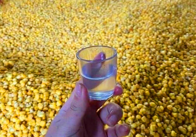 Rượu ngô Sapa nấu từ ngô nếp và men lá truyền thống, vị thơm nồng, ngọt hậu, đặc sản Sapa mang về.